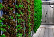 From Food Access to Food System Transformation