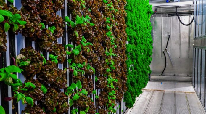 From Food Access to Food System Transformation