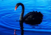 Letter from the Editor