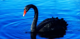 Letter from the Editor