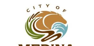 Cavanaugh, Reid win Medina City Council Seats