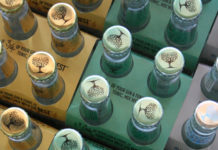 Rose, things that Bubble, Gin, or Whatever Feels Like Spring