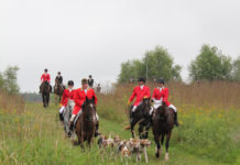 Fox Hunt
