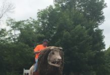 Welcome Back Community Celebrations in 2021!