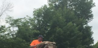 Welcome Back Community Celebrations in 2021!