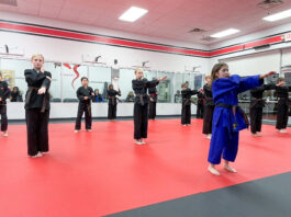DOJO Karate Celebrates 15 years in Medina, MN