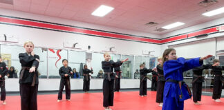 DOJO Karate Celebrates 15 years in Medina, MN