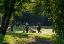 Long Lake Hounds Celebrates 60 Years as Minnesota’s Only Foxhunt