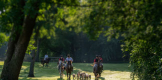Long Lake Hounds Celebrates 60 Years as Minnesota’s Only Foxhunt
