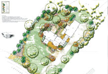 A Case for Green Space: The How’s & Why’s of Lawn to Meadow