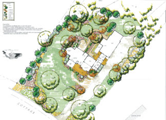 A Case for Green Space: The How’s & Why’s of Lawn to Meadow