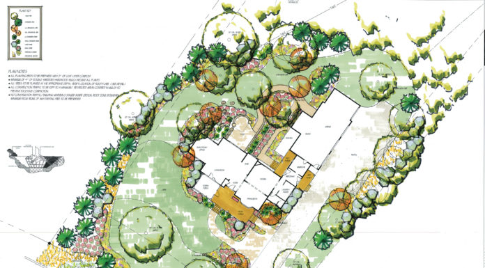 A Case for Green Space: The How’s & Why’s of Lawn to Meadow