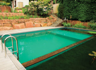 Natural Swimming Pools