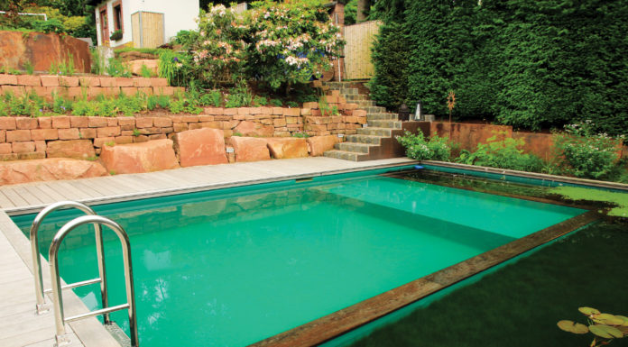 Natural Swimming Pools