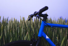 Rules for Retail Have Changed