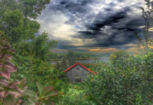 The German Liberal Cemetery