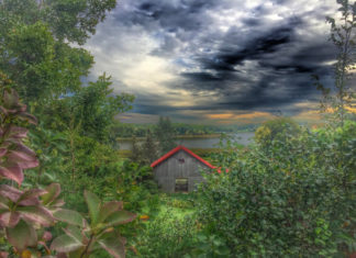 The German Liberal Cemetery