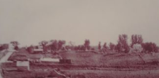 The Beginnings of Hamel, Minnesota