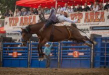 The Hamel Rodeo Turns 45