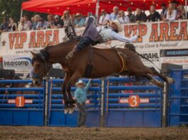 The Hamel Rodeo Turns 45