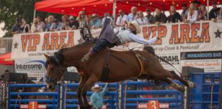 The Hamel Rodeo Turns 45