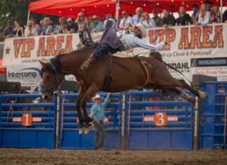 The Hamel Rodeo Turns 45