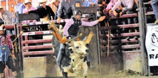 HAMEL RODEO CANCELS 2020 EVENT