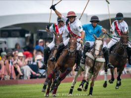 A Day at the Polo Fields
