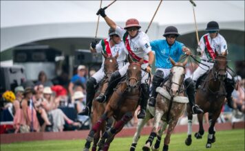 A Day at the Polo Fields