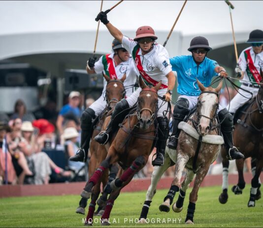 A Day at the Polo Fields