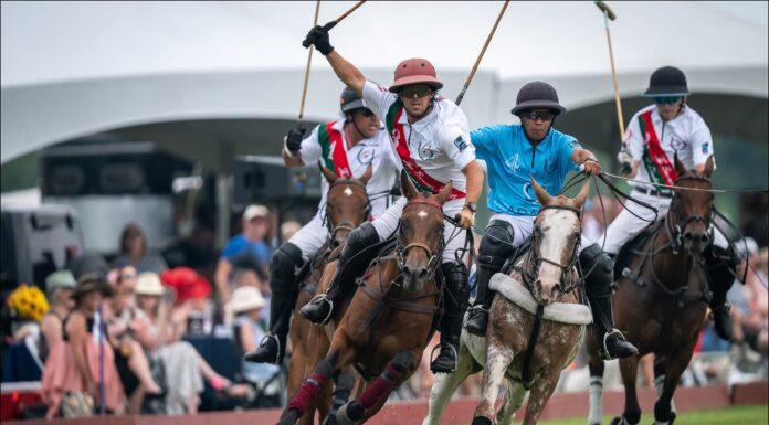 A Day at the Polo Fields
